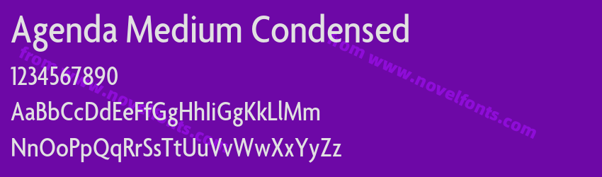 Agenda Medium CondensedPreview Agenda Medium CondensedPreview