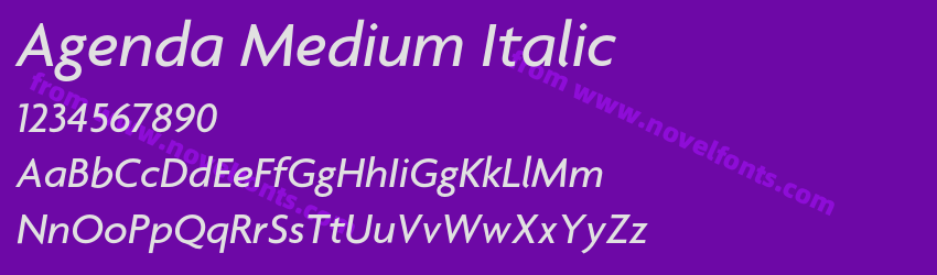 Agenda Medium ItalicPreview Agenda Medium ItalicPreview