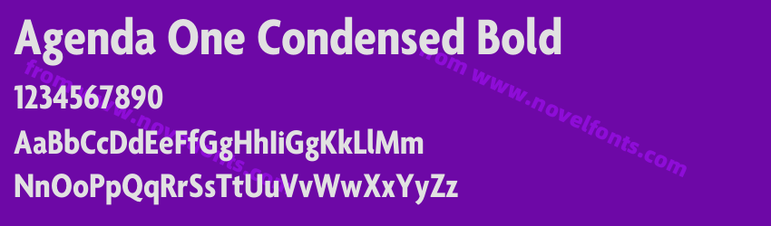 Agenda One Condensed BoldPreview Agenda One Condensed BoldPreview