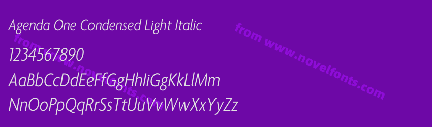 Agenda One Condensed Light ItalicPreview Agenda One Condensed Light ItalicPreview