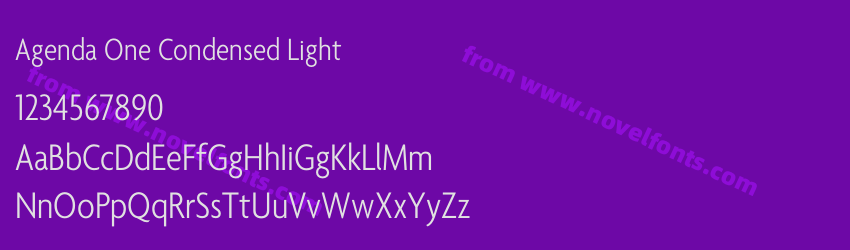 Agenda One Condensed LightPreview Agenda One Condensed LightPreview