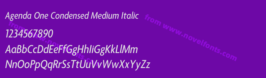 Agenda One Condensed Medium ItalicPreview Agenda One Condensed Medium ItalicPreview