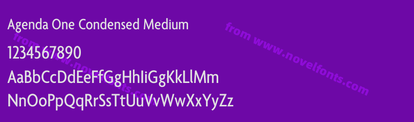 Agenda One Condensed MediumPreview Agenda One Condensed MediumPreview