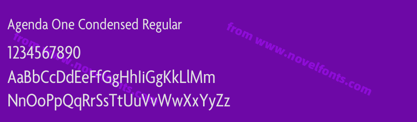 Agenda One Condensed RegularPreview Agenda One Condensed RegularPreview