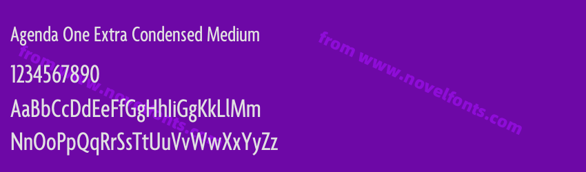 Agenda One Extra Condensed MediumPreview Agenda One Extra Condensed MediumPreview