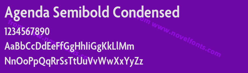 Agenda Semibold CondensedPreview Agenda Semibold CondensedPreview