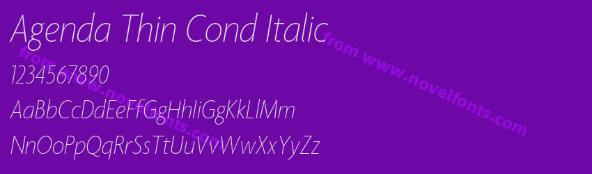 Agenda Thin Cond ItalicPreview Agenda Thin Cond ItalicPreview