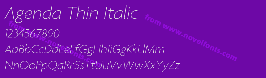 Agenda Thin ItalicPreview Agenda Thin ItalicPreview