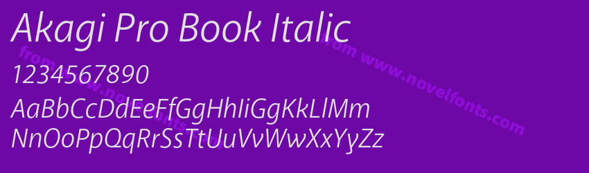 Akagi Pro Book ItalicPreview Akagi Pro Book ItalicPreview