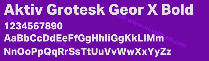 Aktiv Grotesk Geor X BoldPreview