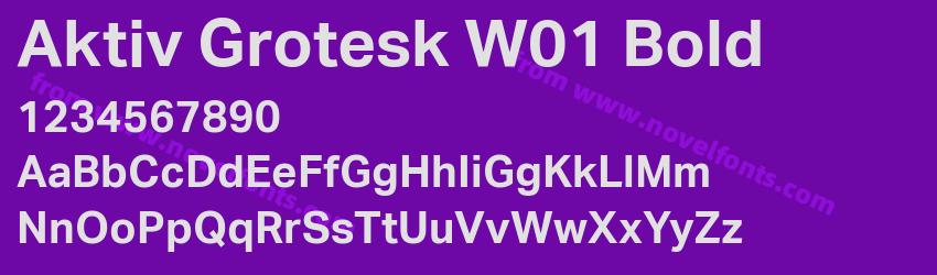Aktiv Grotesk W01 BoldPreview