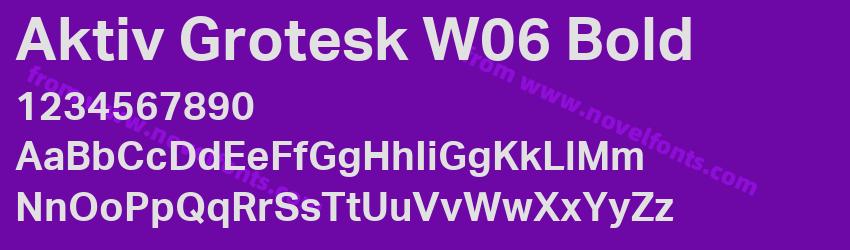 Aktiv Grotesk W06 BoldPreview