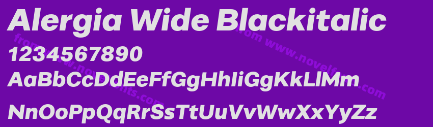 Alergia Wide BlackitalicPreview