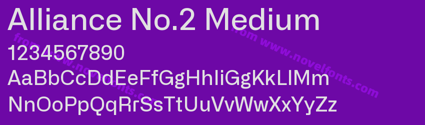 Alliance No.2 MediumPreview Alliance No.2 MediumPreview