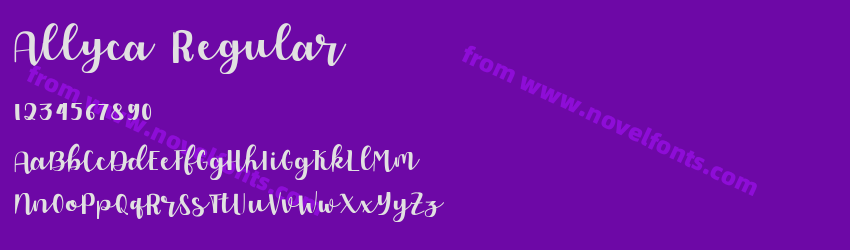 Allyca RegularPreview Allyca RegularPreview