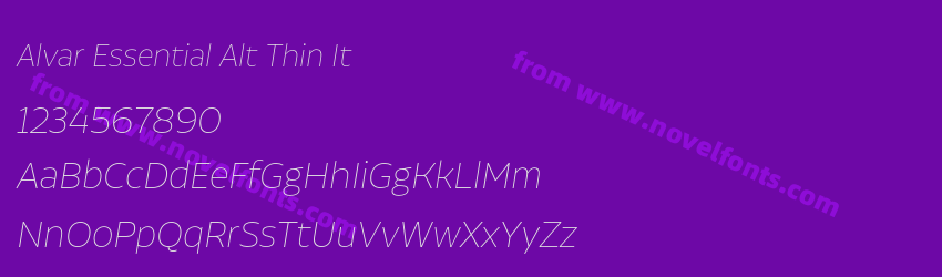 Alvar Essential Alt Thin ItPreview