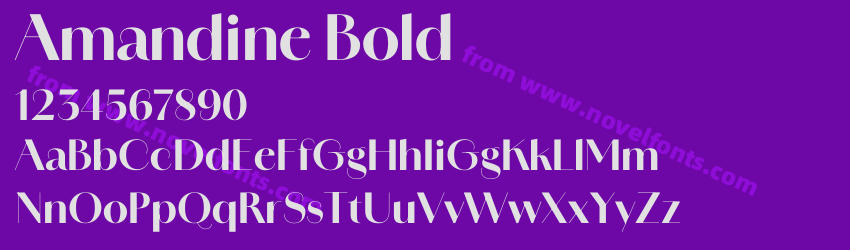 Amandine BoldPreview Amandine BoldPreview
