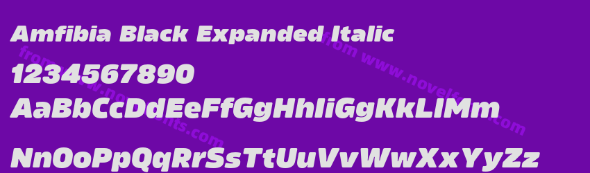 Amfibia Black Expanded ItalicPreview Amfibia Black Expanded ItalicPreview