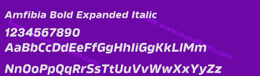Amfibia Bold Expanded ItalicPreview Amfibia Bold Expanded ItalicPreview