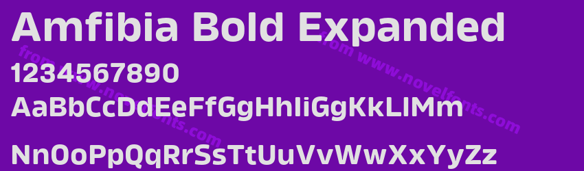 Amfibia Bold ExpandedPreview Amfibia Bold ExpandedPreview
