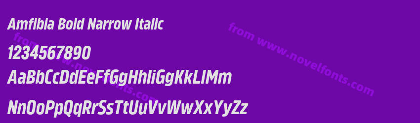 Amfibia Bold Narrow ItalicPreview Amfibia Bold Narrow ItalicPreview