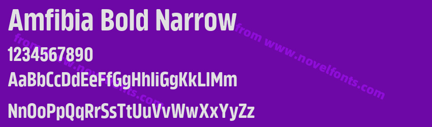 Amfibia Bold NarrowPreview Amfibia Bold NarrowPreview