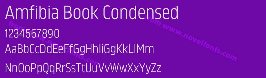 Amfibia Book CondensedPreview Amfibia Book CondensedPreview
