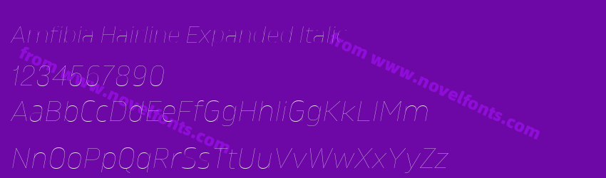 Amfibia Hairline Expanded ItalicPreview Amfibia Hairline Expanded ItalicPreview