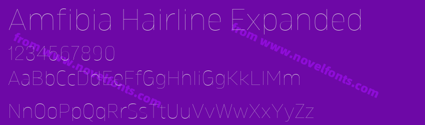 Amfibia Hairline ExpandedPreview Amfibia Hairline ExpandedPreview