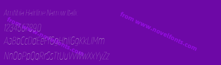 Amfibia Hairline Narrow ItalicPreview Amfibia Hairline Narrow ItalicPreview