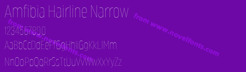 Amfibia Hairline NarrowPreview Amfibia Hairline NarrowPreview