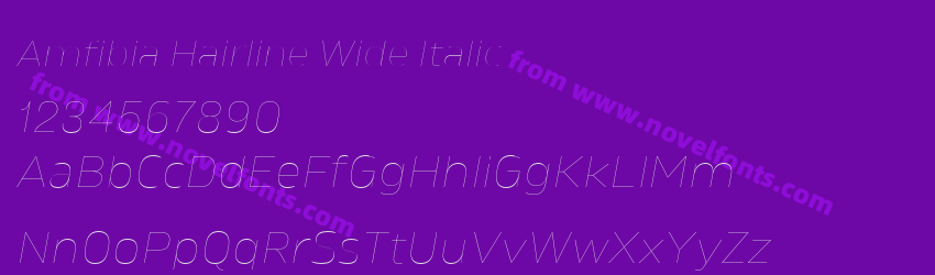 Amfibia Hairline Wide ItalicPreview Amfibia Hairline Wide ItalicPreview