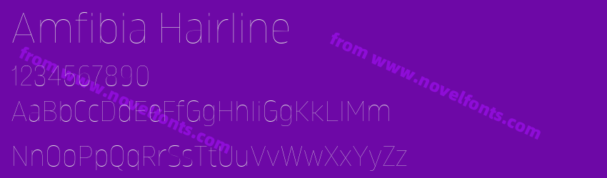 Amfibia HairlinePreview Amfibia HairlinePreview