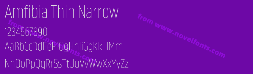 Amfibia Thin NarrowPreview Amfibia Thin NarrowPreview