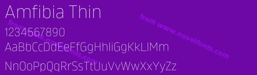 Amfibia ThinPreview Amfibia ThinPreview