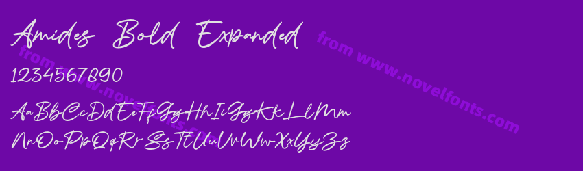 Amides Bold ExpandedPreview Amides Bold ExpandedPreview