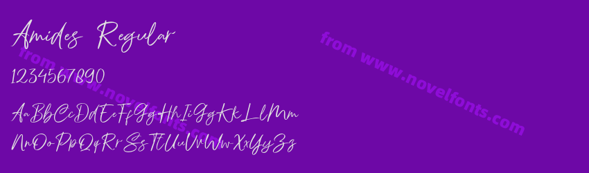 Amides RegularPreview Amides RegularPreview