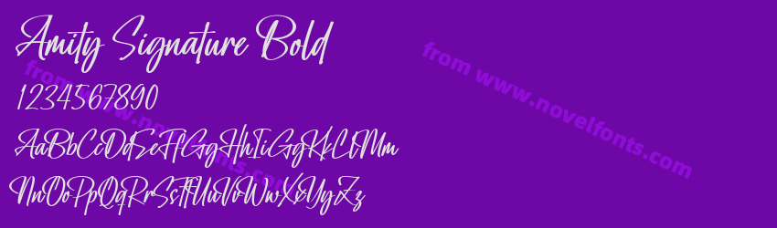 Amity Signature BoldPreview