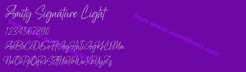 Amity Signature LightPreview Amity Signature LightPreview