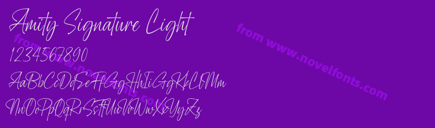 Amity Signature LightPreview Amity Signature LightPreview