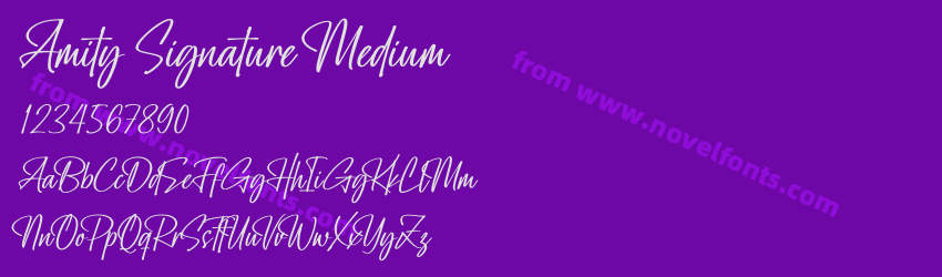 Amity Signature MediumPreview Amity Signature MediumPreview
