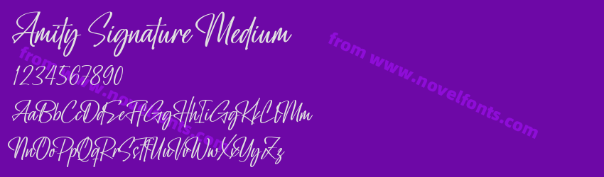 Amity Signature MediumPreview Amity Signature MediumPreview