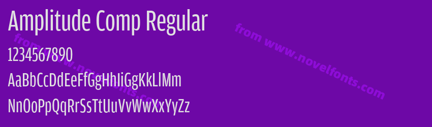 Amplitude Comp RegularPreview Amplitude Comp RegularPreview