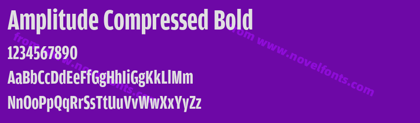 Amplitude Compressed BoldPreview Amplitude Compressed BoldPreview
