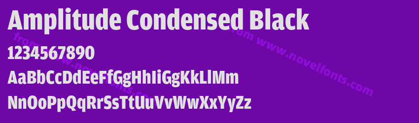 Amplitude Condensed BlackPreview Amplitude Condensed BlackPreview