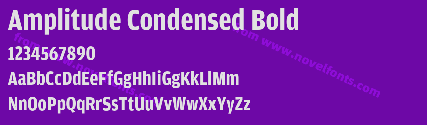 Amplitude Condensed BoldPreview Amplitude Condensed BoldPreview