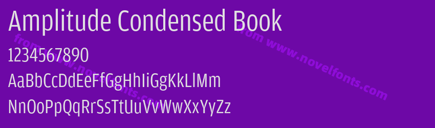 Amplitude Condensed BookPreview Amplitude Condensed BookPreview