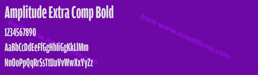 Amplitude Extra Comp BoldPreview Amplitude Extra Comp BoldPreview