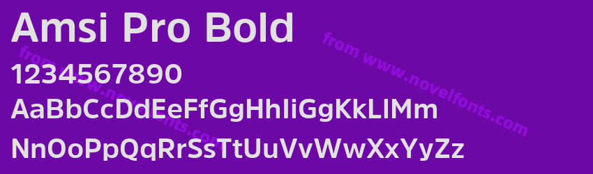 Amsi Pro BoldPreview Amsi Pro BoldPreview
