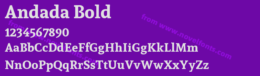 Andada BoldPreview Andada BoldPreview